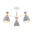 Потолочный светильник Freya Delia FR5033CL-03W