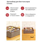 Органайзер Casy Home для бюстгалтеров, 6 ячеек