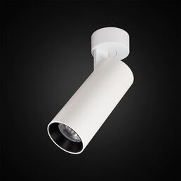 Спот настенно-потолочный Citilux Тубус CL01B120