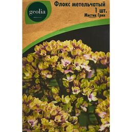 Флокс Geolia метельчатый Мистик Грин