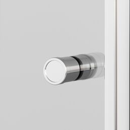Душевая дверь Ambassador Elysium 80x200 111011109CX стекло прозрачное, профиль хром