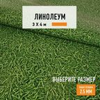 Линолеум для пола на отрез 3х4 м IVC Bingo Grass 025, бытовой, 22 класс, 4820625-3х4