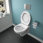 Безободковый подвесной унитаз Ideal Standard EUROVIT K881201 с сиденьем