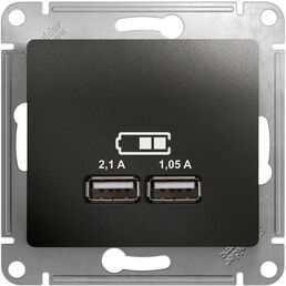 Розетка USBх2 (антрацит) Systeme Electric Glossa GSL000733
