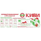 Поликарбонат сотовый 10 мм 2.1x3 м Киви прозрачный