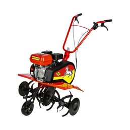 Бензиновый культиватор DDE Мустанг 799-505