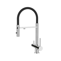 Смеситель для кухонной мойки Iddis Ace ACESBFFi05 с фильтром и гибким изливом, хром