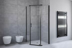 Душевой уголок Royal Bath 100х100 RB 100TR-T-BL  стекло прозрачное, профиль черный