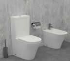Напольный унитаз Jacob Delafon Rodin+ UJAB102-00