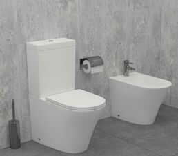 Напольный унитаз Jacob Delafon Rodin+ UJAB102-00