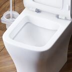 Унитаз-компакт Damixa Titan DX78C8600SC белый, с крышкой микролифт