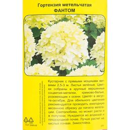 Гортензия метельчатая Фантом h40 см