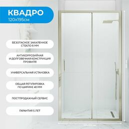 Душевая дверь в нишу 120х195 см. Квадро стекло прозрачное, профиль матовое золото