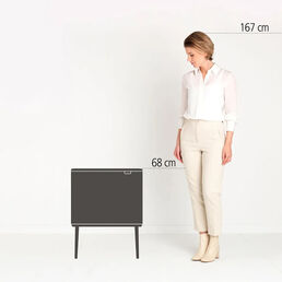 Мусорный бак Brabantia Touch Bin 11+23л