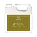 Антисептик MasterGood для бань и саун готовый раствор 3 л
