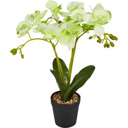 Искусственное растение Орхидея в горшке ø14 ПВХ цвет зеленый