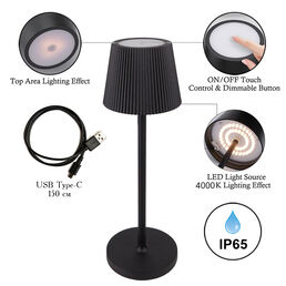 Светильник настольный Arte Lamp A1616Lt-1Bk