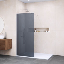 Душевая перегородка Walk-In RGW 70x195 WA-002 стекло тонированное, профиль хром