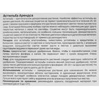 Астильба Geolia Арендса Америка