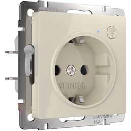 Умная розетка (слоновая кость) Werkel W1171603 (a056421)