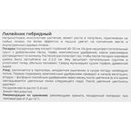 Лилейник Geolia гибридный Близард Бей