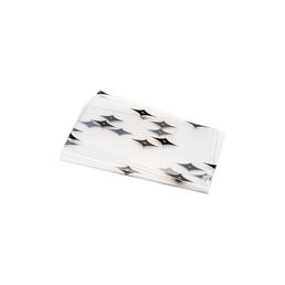 Внутреннее защитное стекло для BLITZ 5-13 Digital Natural Color FUBAG 31700