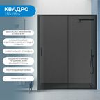 Душевая дверь в нишу 150х195 см. Квадро стекло тонированное, профиль черный