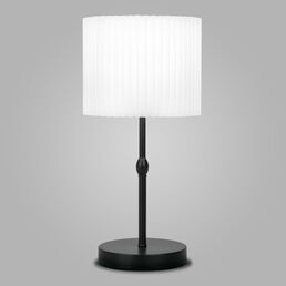 Настольная лампа Eurosvet Notturno a065667