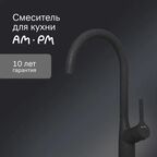 Смеситель для кухни Am pm Spike цвет чёрный
