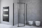 Душевой уголок Royal Bath 100х120 RB 1210TR-T-BL стекло прозрачное, профиль черный