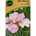 Ирис Geolia сибирский Кита-но-сейдза