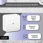 Коробка распределительная IP42, белая, Schneider Electric Blanca (комплект 2шт)