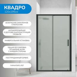Душевая дверь в нишу 120х195 см. Квадро стекло матовое, профиль черный