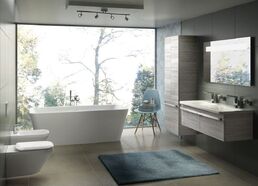 Безободковый подвесной унитаз Ideal Standard TONIC II K316501