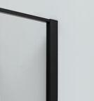Душевая дверь 100 см Allen Brau Priority 3.31006.BBA черный