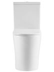 Унитаз напольный Aquatek AQ1273H-00 белый, с крышкой микролифт