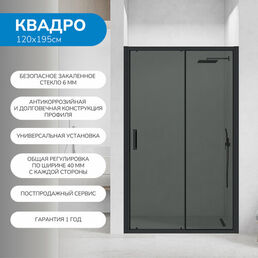 Душевая дверь в нишу 120х195 см. Квадро стекло тонированное, профиль черный