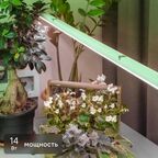 Фитосветильник линейный светодиодный Эра Fito 873 мм 14 Вт T5/G5 нейтральный белый свет