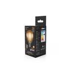 Светодиодная лампа Gauss LED Filament Globe E14 5W 2700K 1/10/50