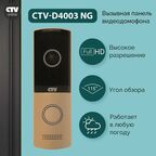 Вызывная панель видеодомофона CTV-D4003NG (Шампань)