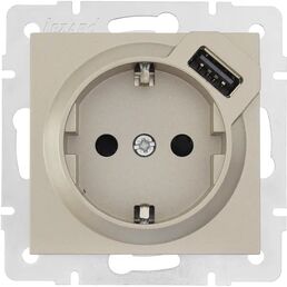 Розетка USB встраиваемая Lezard Vesna 742-3788-181 с заземлением цвет титан