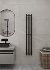 Полотенцесушитель электрический Двин X-3 plaza neo 160x12 4657801241512 черный матовый