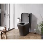 Унитаз-компакт AM.PM Struktura Flash Clean C9S8600MBSC, универсальный выпуск двойной слив цвет черный