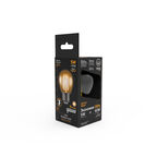 Светодиодная лампа Gauss LED Filament Globe E27 5W 2700K 1/10/50