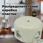 Коробка распределительная BIRONI "лизетта пластик" , для наружного монтажа, 78*35мм, цвет песочное золото B1-521-24-K