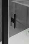 Душевая дверь 100 см Allen Brau Priority 3.31006.BBA черный