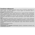 Лилейник Geolia гибридный Икебана Стар