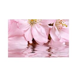Декоративный массив Belleza Букет СК000010774