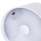 Светильник настольный Arte Lamp A1616Lt-1Wh