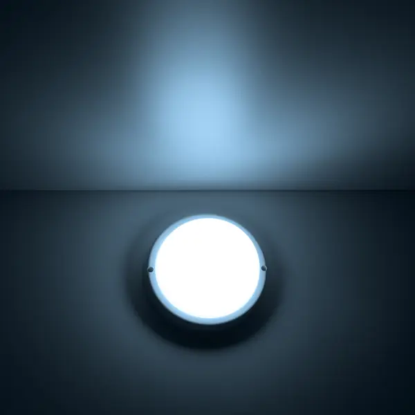 Светильник ЖКХ светодиодный Gauss Lite 12 Вт IP65 круг цвет белый накладной